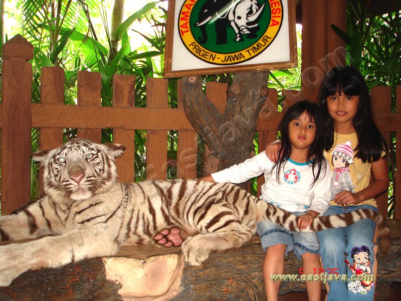 taman_safari_ii_08.jpg