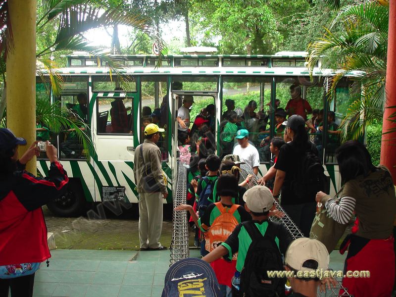 taman_safari_ii_38.jpg